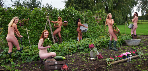 Bedford girls strips